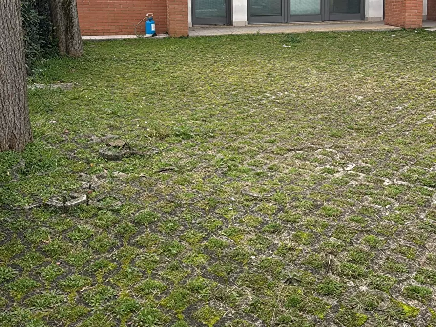 Immagine 3 di Capannone industriale in vendita  a Camaiore