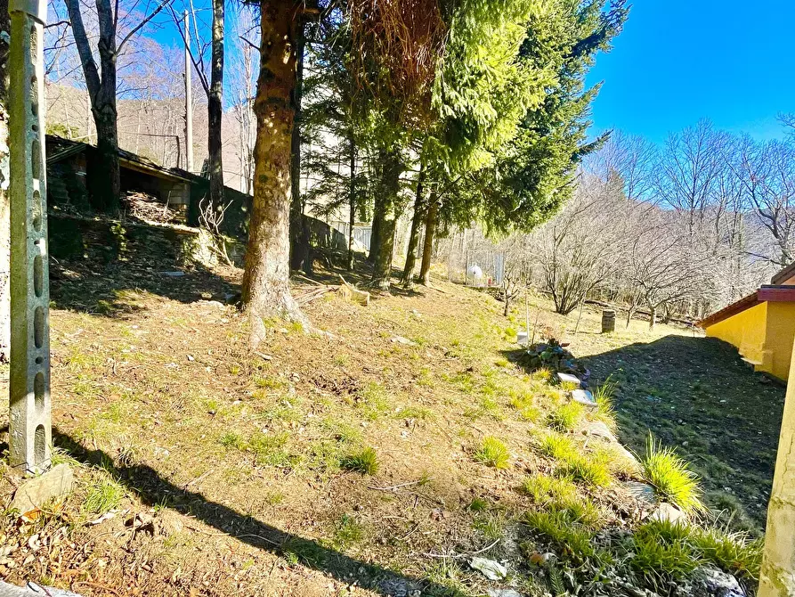 Immagine 63 di Casa bifamiliare in vendita  a Stazzema