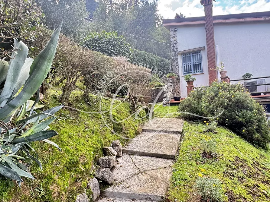 Immagine 123 di Casa indipendente in vendita  a Massarosa