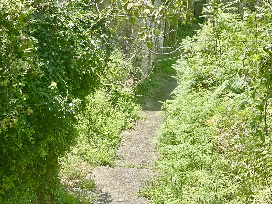 Immagine 5 di Rustico / casale in vendita  a Seravezza