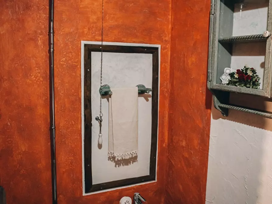 Immagine 40 di Rustico / casale in affitto  a Camaiore