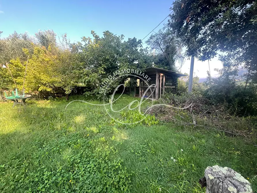 Immagine 17 di Casa indipendente in vendita  a Massarosa