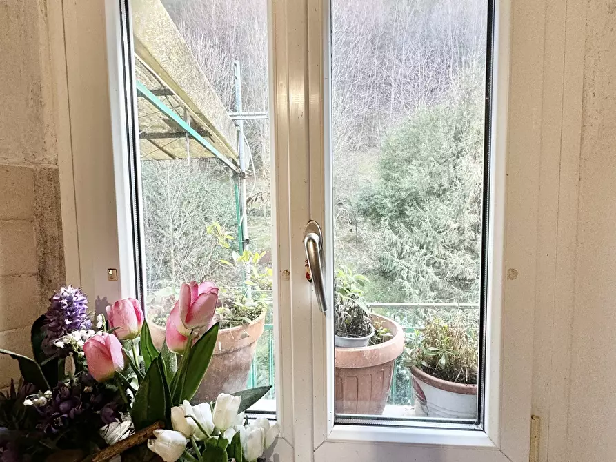 Immagine 7 di Quadrilocale in vendita  a Seravezza