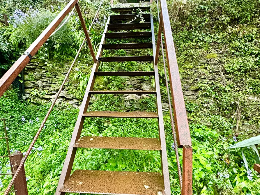 Immagine 37 di Terratetto in vendita  a Seravezza