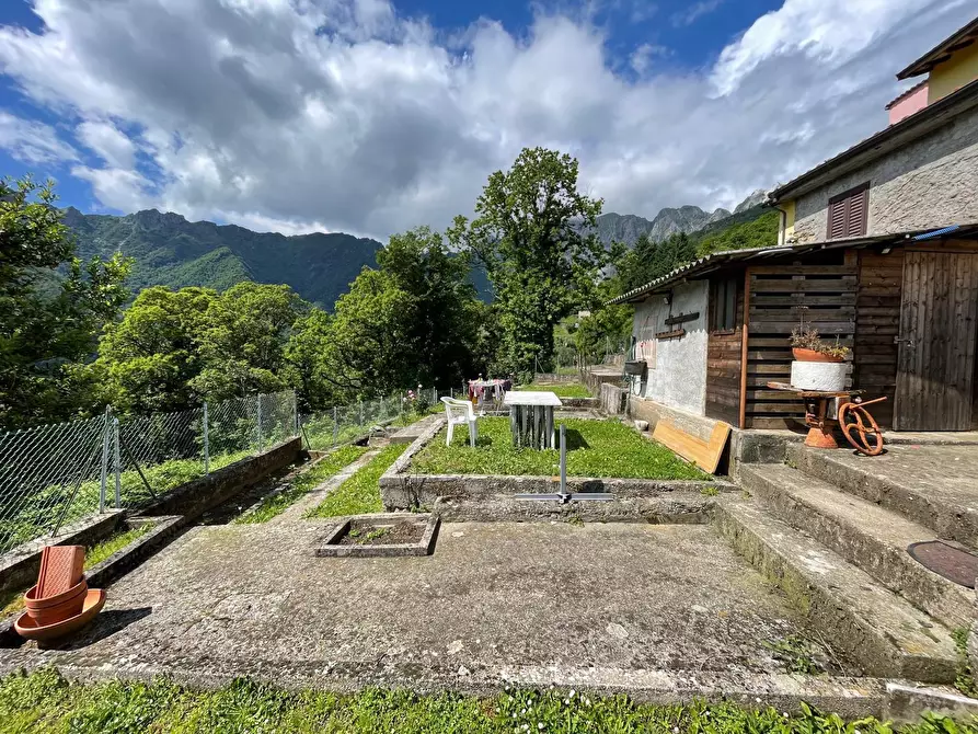 Immagine 28 di Terratetto in vendita  a Seravezza