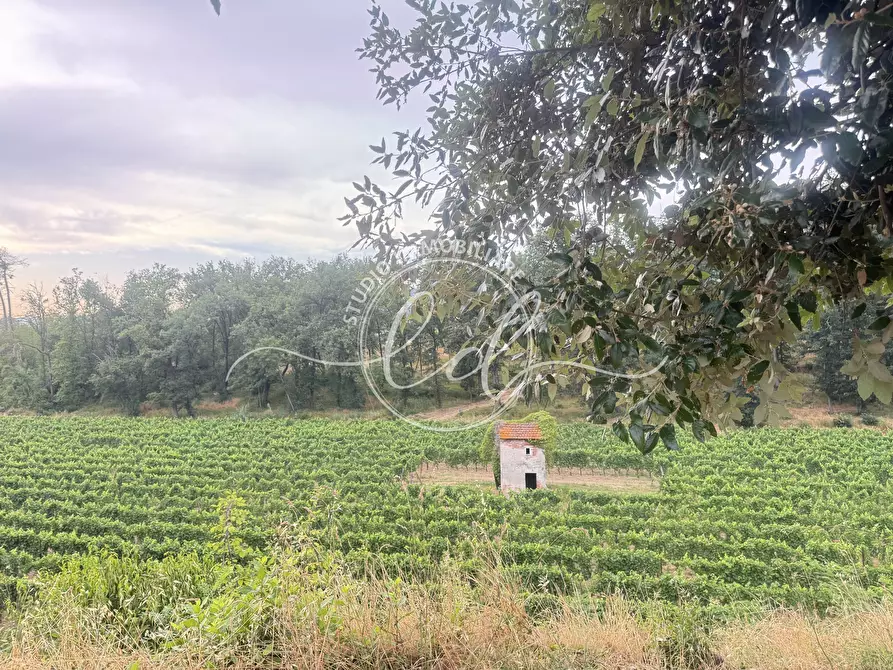 Immagine 25 di Terreno edificabile in vendita  a Ortonovo