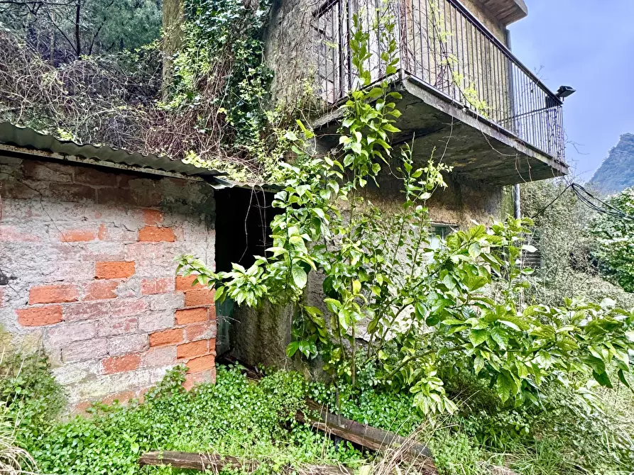 Immagine 39 di Terratetto in vendita  a Seravezza