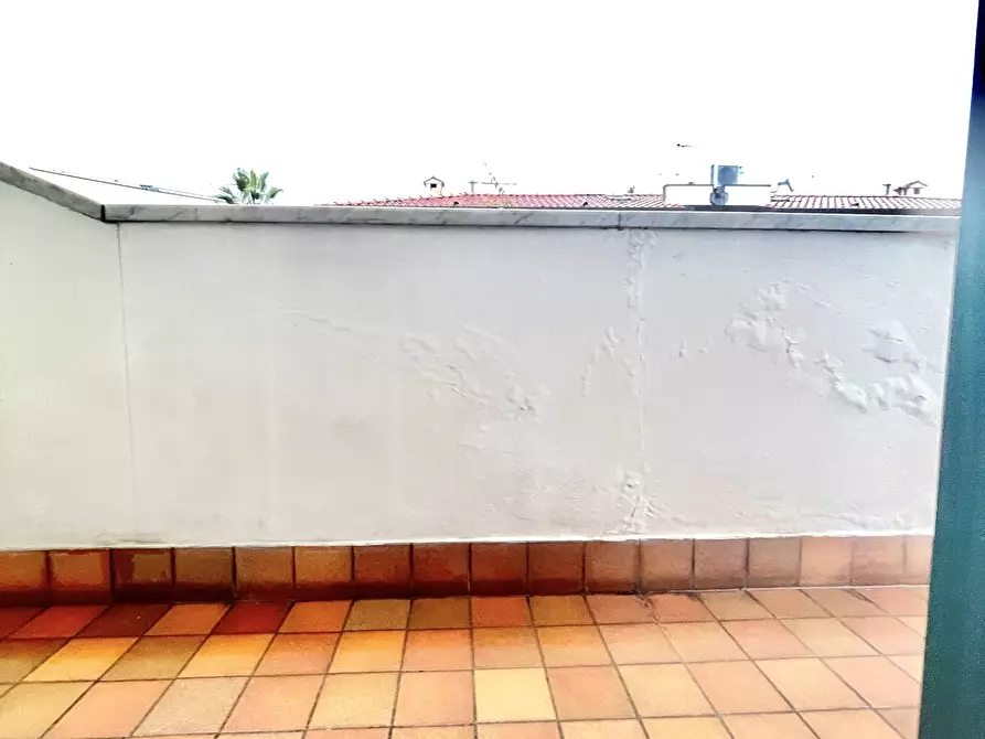 Immagine 35 di Villa in affitto  a Forte Dei Marmi