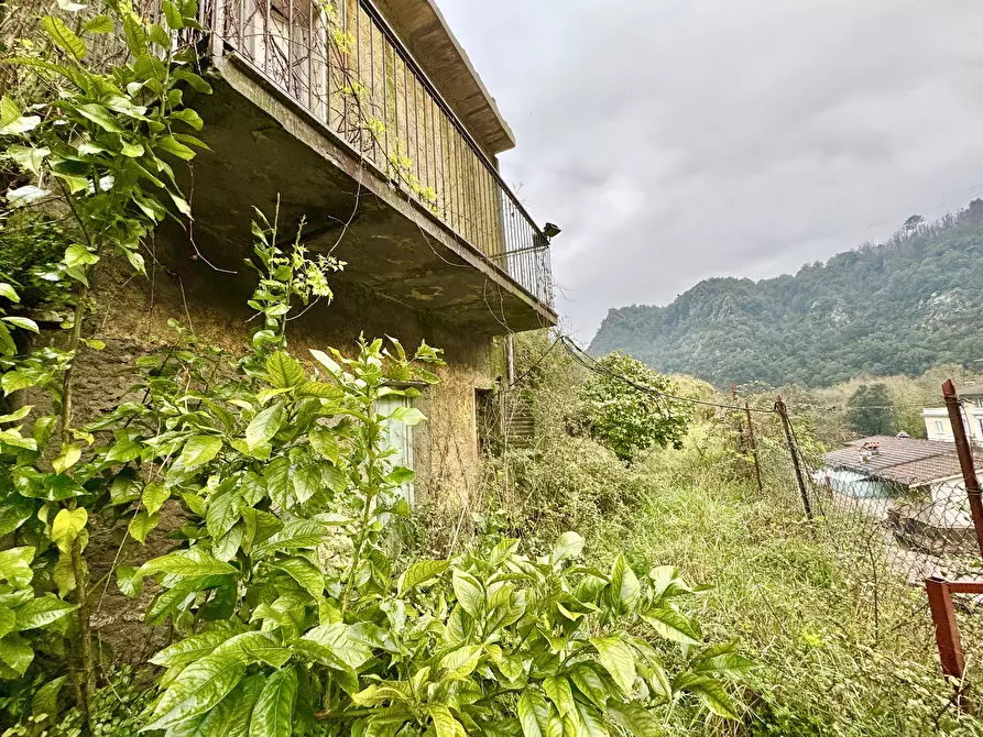 Immagine 41 di Terratetto in vendita  a Seravezza