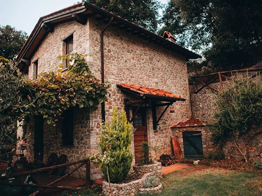 Immagine 30 di Rustico / casale in affitto  a Camaiore