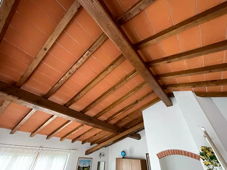 Immagine 46 di Casa indipendente in vendita  a Pietrasanta