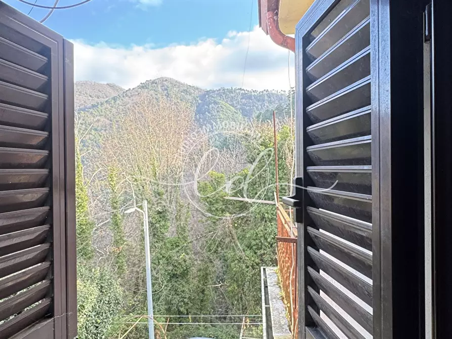 Immagine 33 di Terratetto in vendita  a Pietrasanta