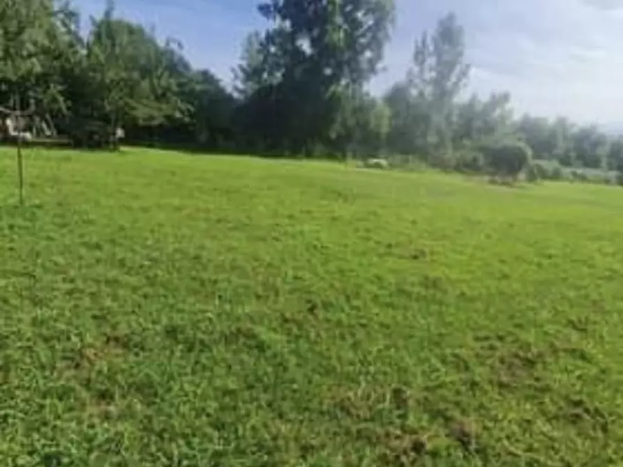 Immagine 2 di Terreno agricolo in vendita  a Seravezza