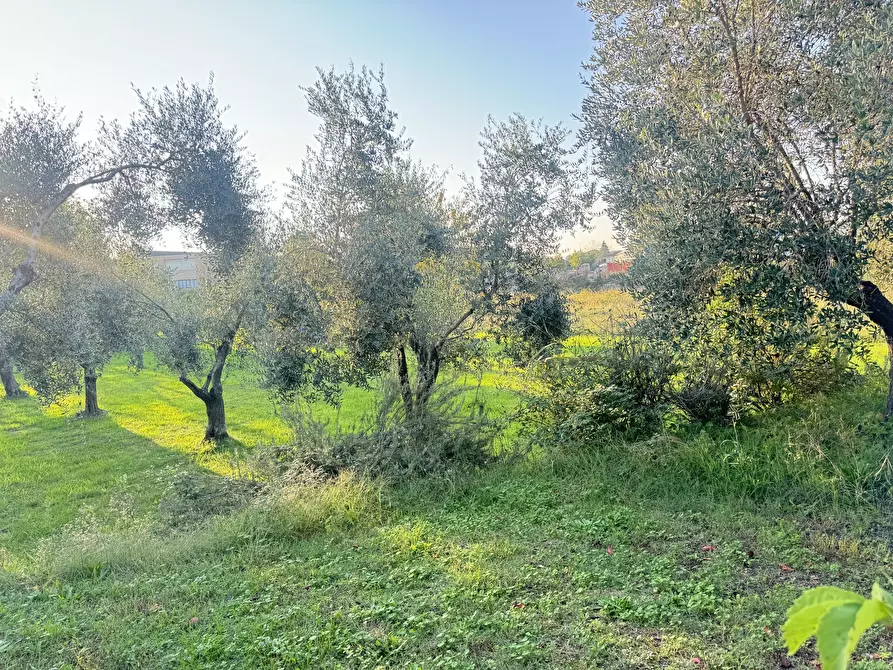 Immagine 1 di Terreno edificabile in vendita  a Pietrasanta