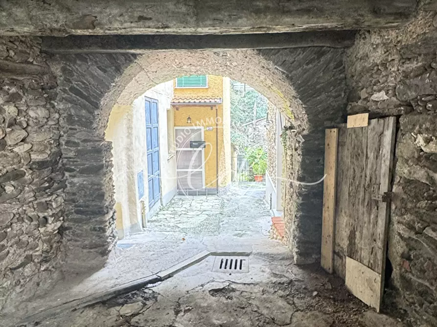 Immagine 64 di Porzione di casa in vendita  a Stazzema