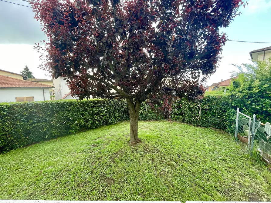 Immagine 2 di Quadrilocale in vendita  a Pietrasanta