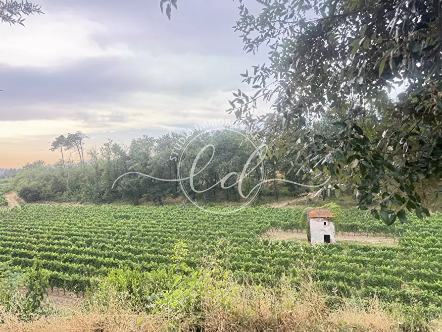 Immagine 24 di Terreno edificabile in vendita  a Ortonovo