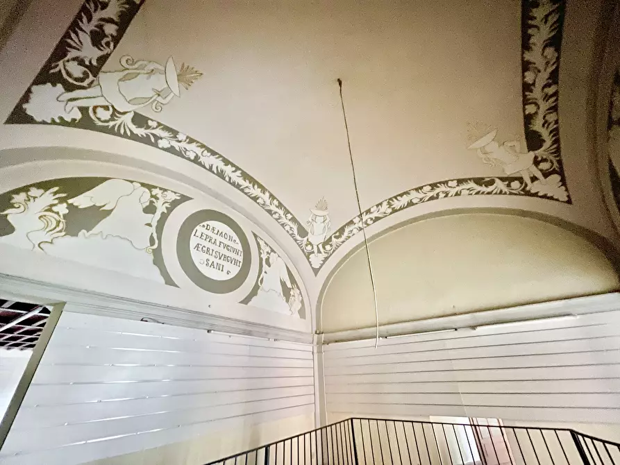 Immagine 8 di Locale commerciale in affitto  a Camaiore