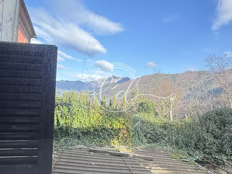 Immagine 19 di Terratetto in vendita  a Pietrasanta