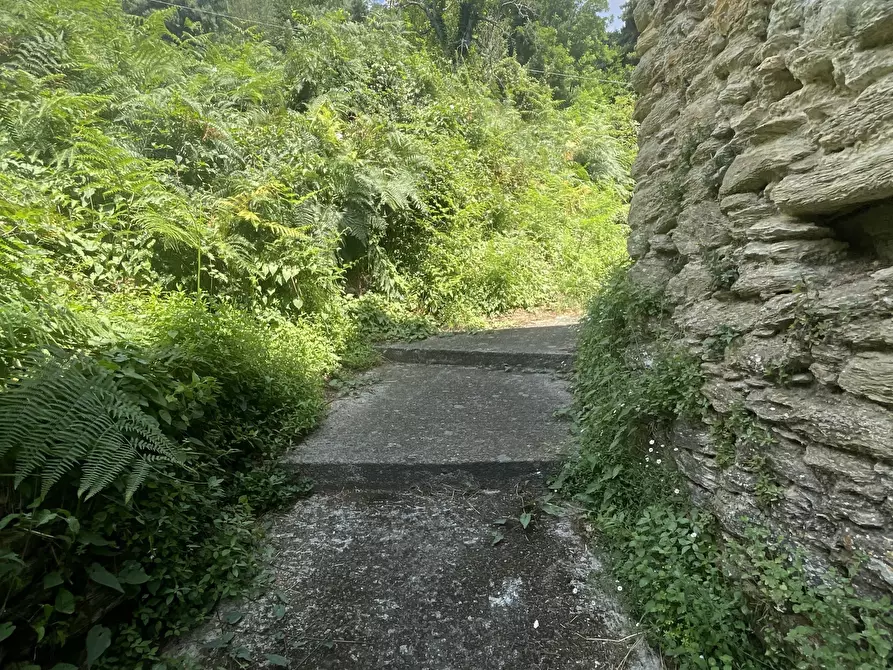 Immagine 22 di Rustico / casale in vendita  a Seravezza