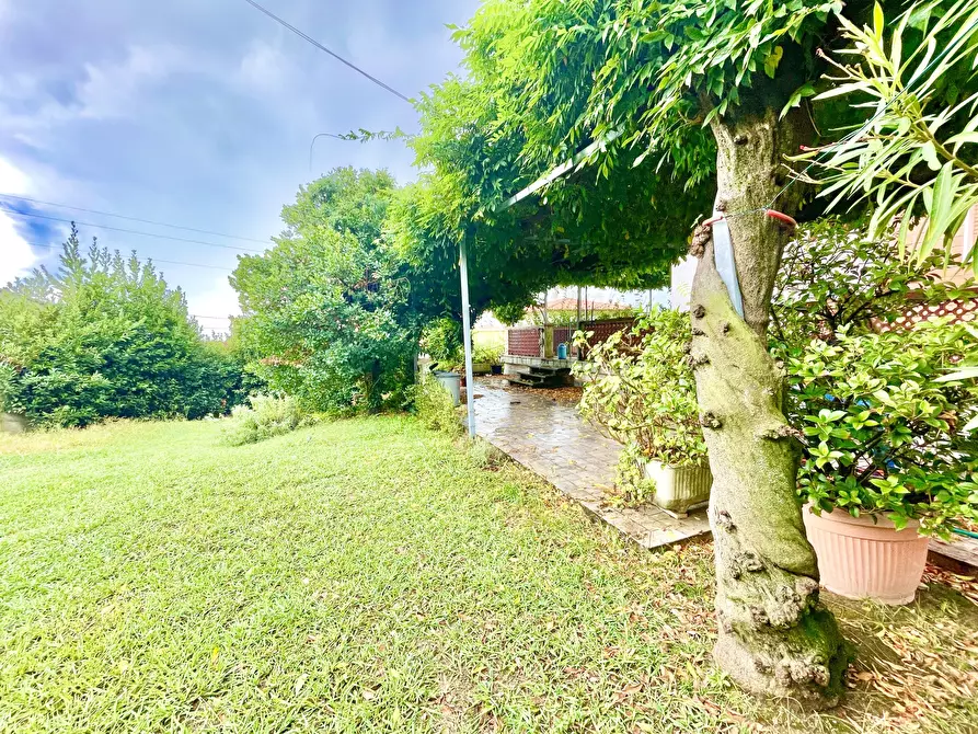 Immagine 8 di Casa indipendente in vendita  a Seravezza