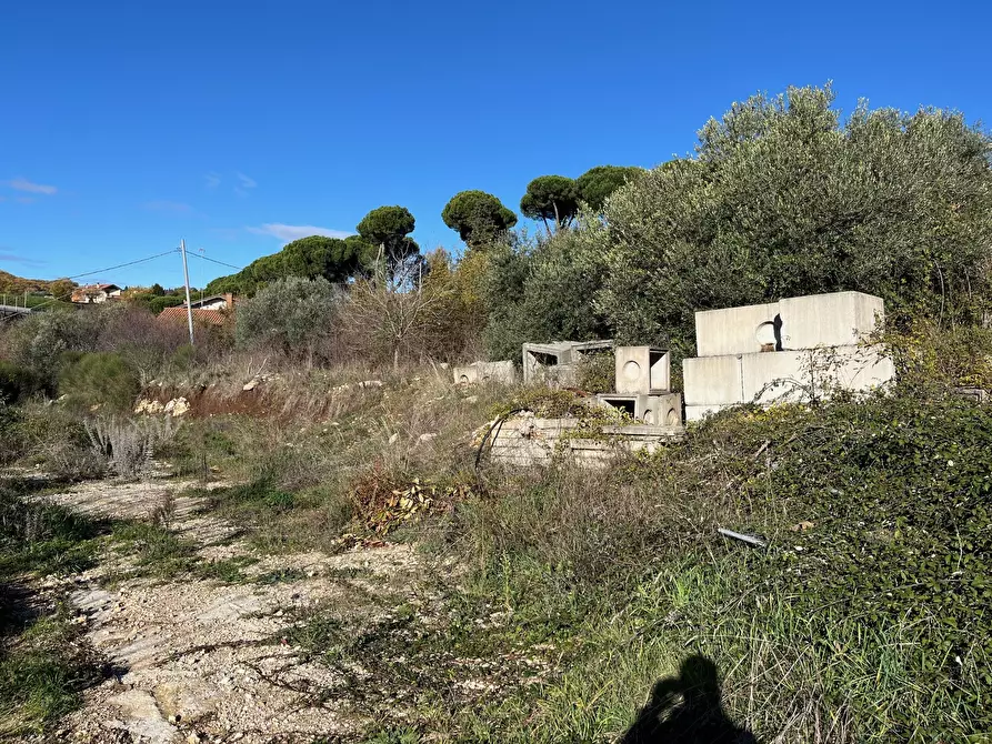 Immagine 4 di Terreno agricolo in vendita  in Via delle Mele a Segni
