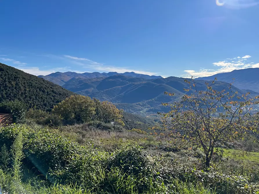Immagine 14 di Terreno agricolo in vendita  in Via delle Mele a Segni