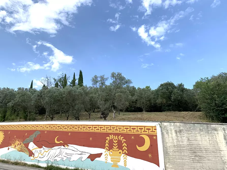 Immagine 5 di Terreno agricolo in vendita  in Via San Giorgetto a Anagni