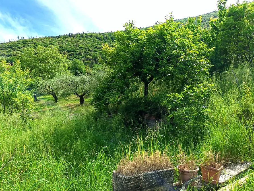 Immagine 13 di Villa in vendita  in Via Carpinetana Ovest a Segni