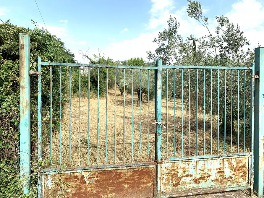 Immagine 17 di Terreno agricolo in vendita  in Via San Giorgetto a Anagni