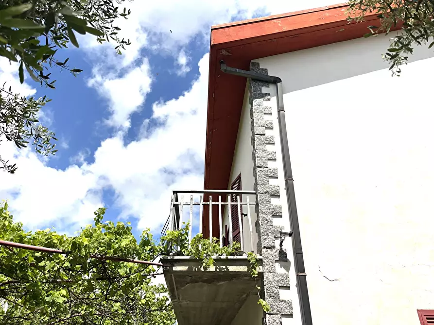 Immagine 37 di Villa in vendita  in Contrada Zancati Nuovo a Paliano