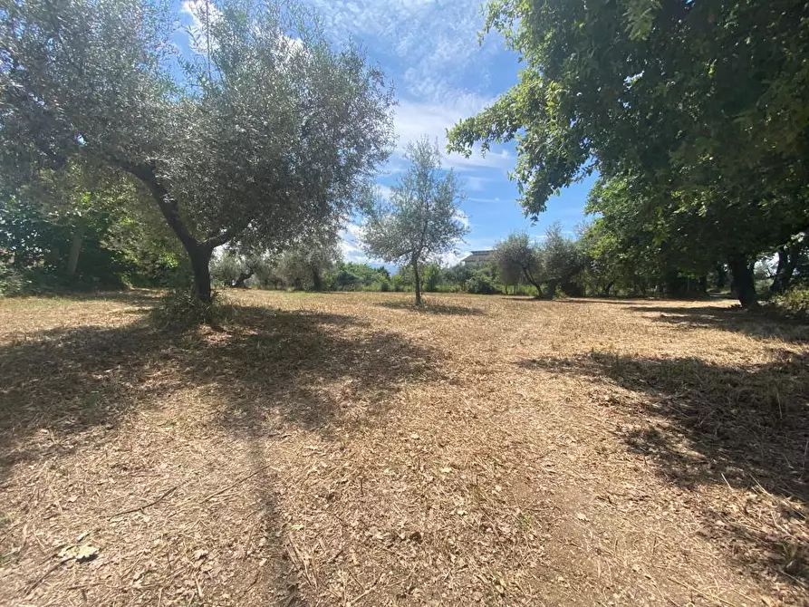 Immagine 2 di Terreno industriale in vendita  in Via Querceto a Cepagatti