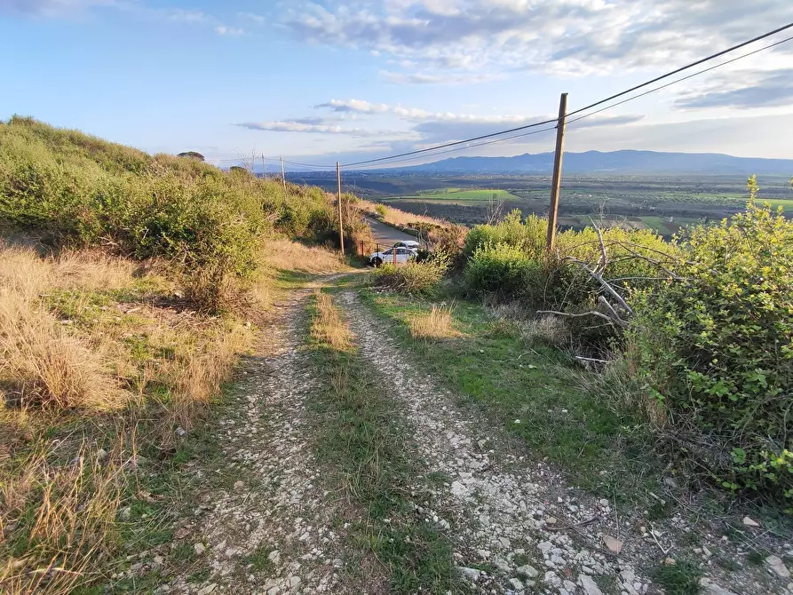 Immagine 6 di Terreno agricolo in vendita  in SP53a 53 a Tivoli