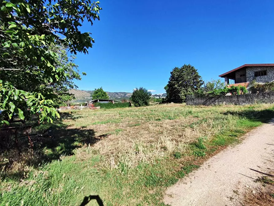 Immagine 1 di Terreno agricolo in vendita  in via colle ponte a Guidonia Montecelio