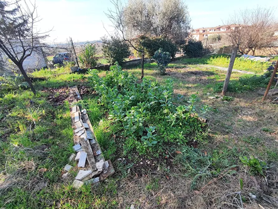 Immagine 12 di Terreno agricolo in vendita  in Via Colle di Mitriano a Guidonia Montecelio