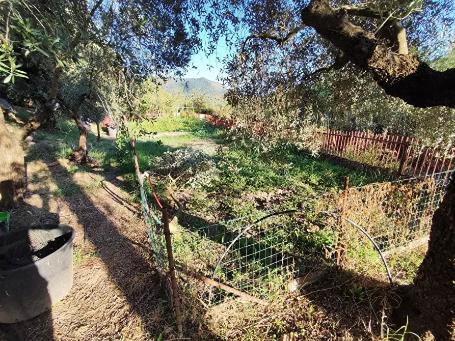 Immagine 5 di Terreno agricolo in vendita  in via caolini a Marcellina