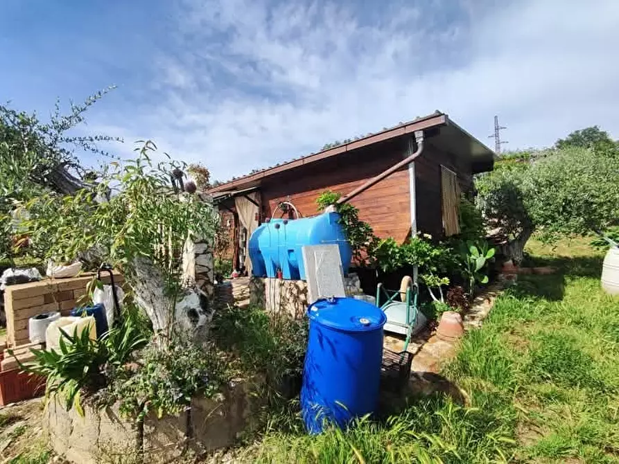 Immagine 6 di Terreno agricolo in vendita  in via monte palombino a Fonte Nuova