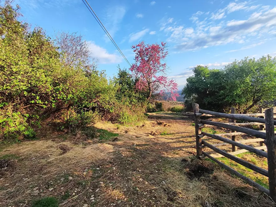 Immagine 5 di Terreno agricolo in vendita  in SP53a 53 a Tivoli