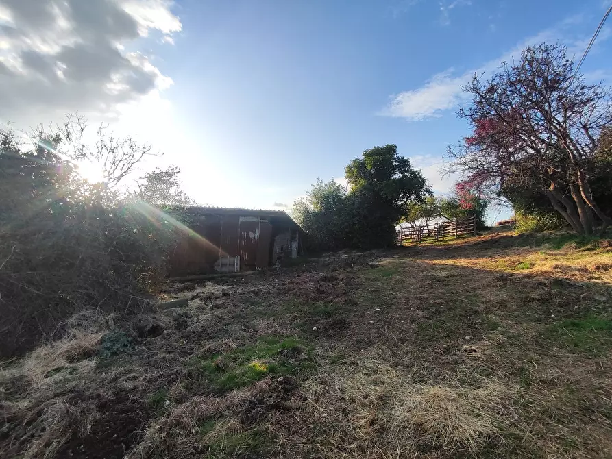 Immagine 8 di Terreno agricolo in vendita  in SP53a 53 a Tivoli