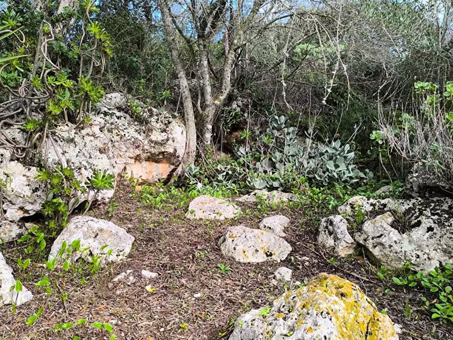 Immagine 22 di Villa in vendita  in Strada Vicinale Li Curuneddi Tronco B a Sassari