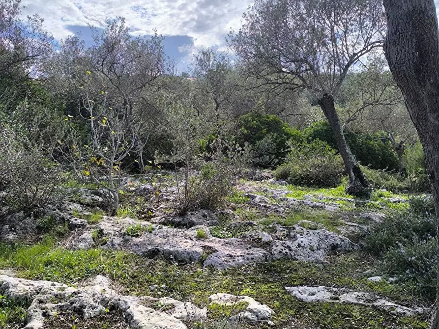 Immagine 28 di Villa in vendita  in Strada Vicinale Li Curuneddi Tronco B a Sassari