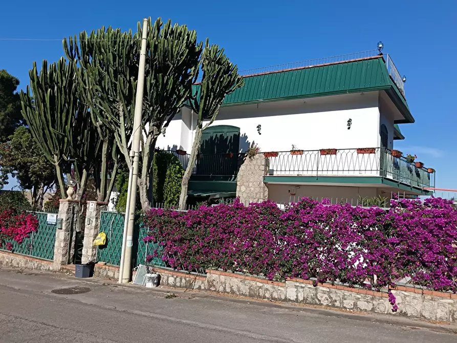 Immagine 33 di Villa in vendita  a Trabia
