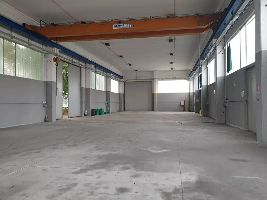 Immagine 14 di Capannone industriale in vendita  in Via Risorgimento 2 a Somaglia