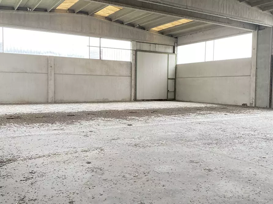 Immagine 19 di Capannone industriale in affitto  in VIA BRODOLINI 5 a Casalpusterlengo