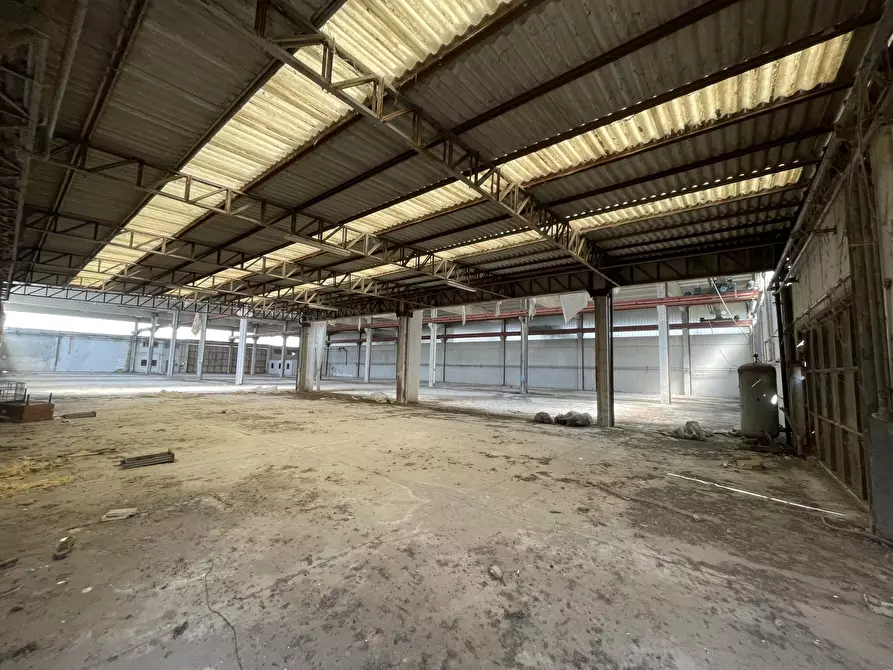 Immagine 2 di Capannone industriale in vendita  in Via delle Barazzine 4 a Pieve Porto Morone