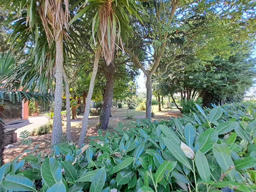 Immagine 27 di Porzione di casa in vendita  a Rovigo
