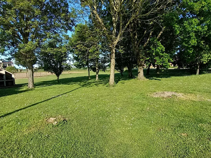 Immagine 8 di Rustico / casale in vendita  a Pincara