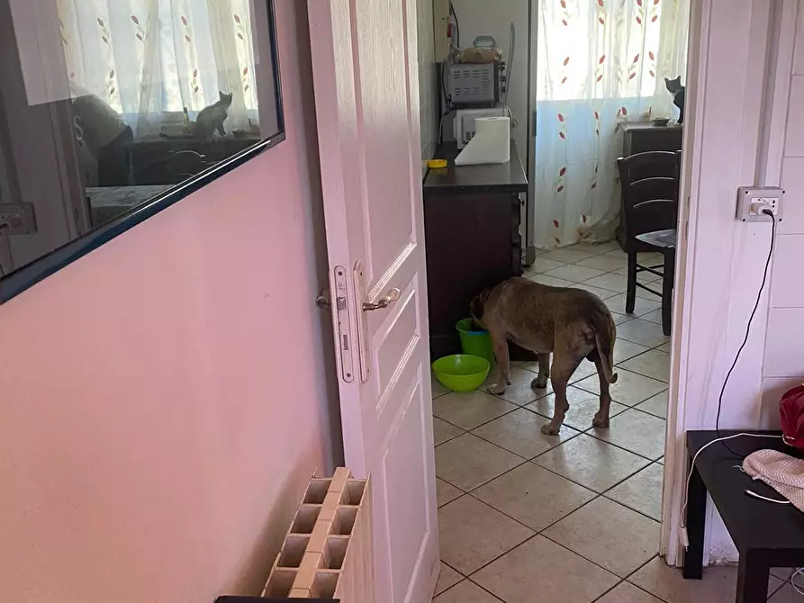 Immagine 14 di Porzione di casa in vendita  a San Remo