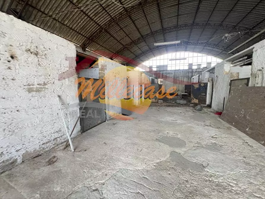 Immagine 23 di Attività artigianale in vendita  in COZZO PANTANO a Siracusa