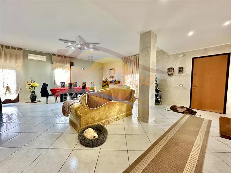 Immagine 24 di Villa in vendita  in Via Mallia a Siracusa